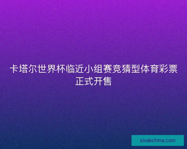 卡塔尔世界杯临近小组赛竞猜型体育彩票正式开售 卡塔尔世界杯临近小组赛竞猜型体育彩票正式开售