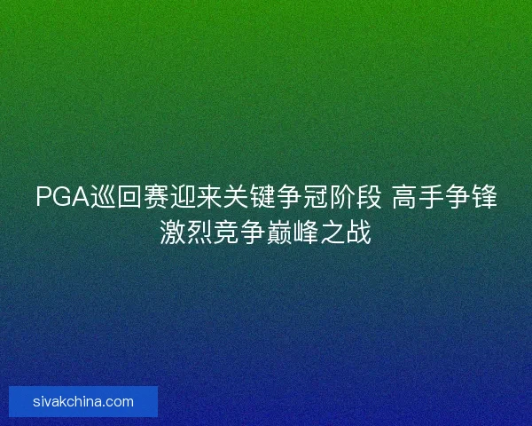 PGA巡回赛迎来关键争冠阶段 高手争锋激烈竞争巅峰之战
