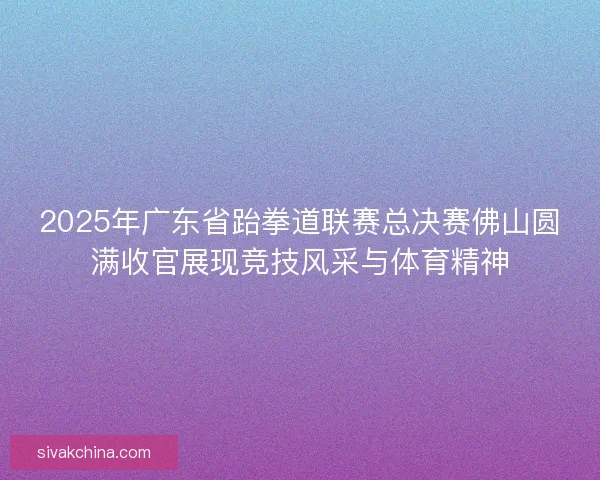 2025年广东省跆拳道联赛总决赛佛山圆满收官展现竞技风采与体育精神 2025年广东省跆拳道联赛总决赛佛山圆满收官展现竞技风采与体育精神