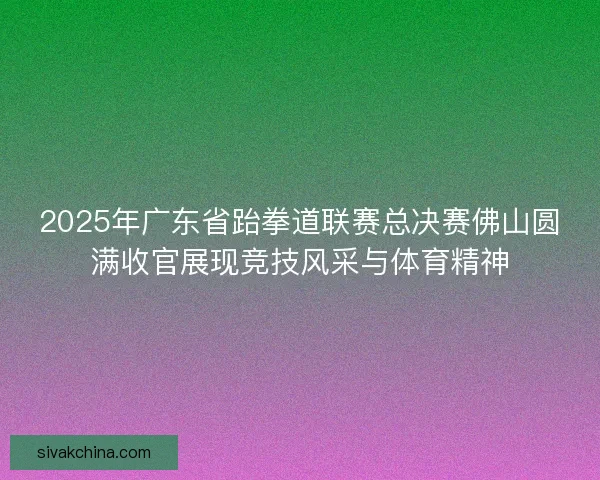 2025年广东省跆拳道联赛总决赛佛山圆满收官展现竞技风采与体育精神 2025年广东省跆拳道联赛总决赛佛山圆满收官展现竞技风采与体育精神